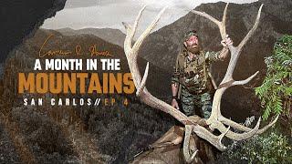 San Carlos Elk Dreams at Dusk  ep 4  A Month in the Mountains