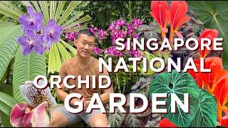 Best Landscaped Garden In The world  DIVERSE Plant Collections of National Orchid Garden Singapore