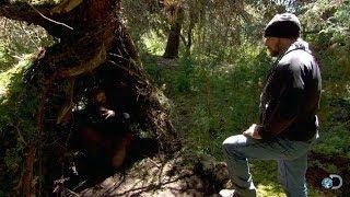 Sleeping in the Womb of Nature  Dual Survival