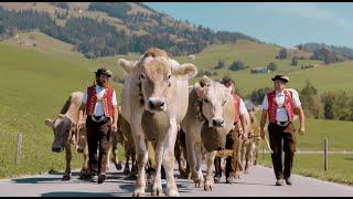 an authentic Swiss holiday experience - Typically Swiss Hotels