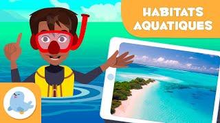 Habitats aquatiques - Types dhabitats pour enfants