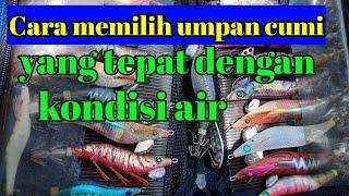 Warna udang udangan yang disukai cumi  warna umpan cumi terbaiknewbie channel