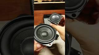 SPEAKER ISSUE #short #speaker