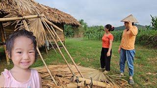 The roof fell off in the rain and wind. Repair and harvest cassava leaves to make kimchi