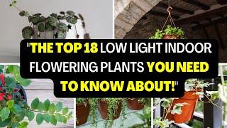 The Top 18 Low Light Indoor Flowering Plants You Need to Know About