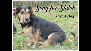 Song for Shiloh - Just A Dog Co-Starring Furry Canine Friends of Facebook Friends