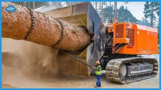 Extremely Fast Tree Harvester & Chainsaw Machines. Heavy-duty Equipment For Forest Industry