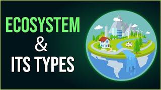 What is Ecosystem?  Different Types of Ecosystem  Environmental Science  EVS  Letstute