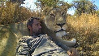 GoPro Lions - The New Endangered Species?