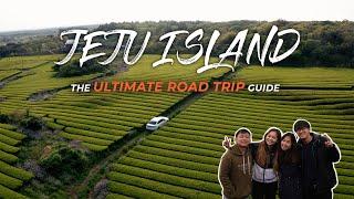 Get the Most Out of Your Road Trip in Jeju  Korea Travel Guide