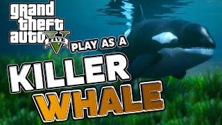 GTA V Play as a Killer Whale Peyote Plant Location