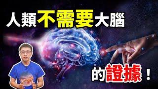 驚  無腦也能存活  人類意識到底來自哪裡 ? 科學證實大腦可在11層維度運行  【地球旅館】