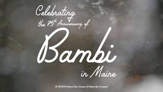Celebrating the 75th Anniversary of BAMBI in Maine