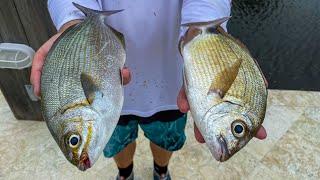 2 Fish NOBODY Eats Catch Clean Cook- TRASH Fish Taste test- Bermuda Chub+ Spot tail Pinfish