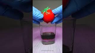 Whats inside a tomato? Coca-Cola #shorts