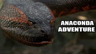 anaconda attack Hollywood movies in hindi full hd