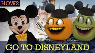 HOW2 How to Go to Disneyland