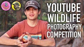 First Ever YouTube Wildlife Photography Competition $1000 Grand Prize