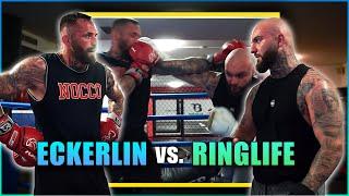 CHRISTIAN ECKERLIN vs. RINGLIFE Hartes Sparring 5 Runden 5 Fragen + BONUS FRAGEN - RINGLIFE