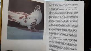 Старорежимные кировоградские голуби.Книга 1991г.Описание породыкакими они были.