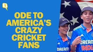 T20 World Cup 2024 An Ode to the Loyal Cricket-Crazed Fans of America  The Quint