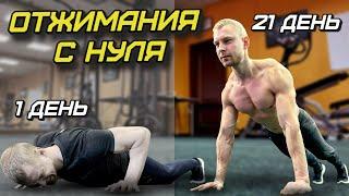 ОТЖИМАНИЯ с НУЛЯ за 21 ДЕНЬ КАК НАУЧИТЬСЯ ОТЖИМАТЬСЯ? ОБУЧЕНИЕ.