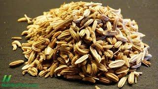 Fennel Seeds to Improve Athletic Performance