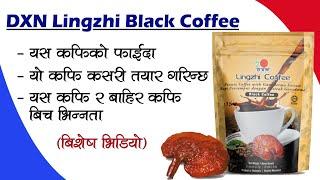 Dxn  Lingzhi Black Coffee र बाहिरी सामान्य चिया कफि बिच भिन्नता  प्रमाण सहित