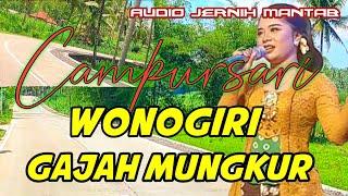 WONOGIRI GAJAH MUNGKUR  CAMPURSARI DANGDUT KOPLO