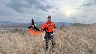 Stihl Fs 490-C in big dry grass with 300 mm brush knife. Motocosa Stihl in iarba uscata .