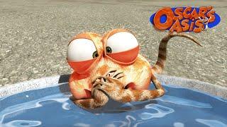 Flamin Hot Oscar  Oscar’s Oasis  Funny Cartoons for Kids