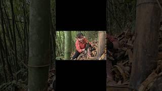 củ măng rừng – wild bamboo shoots