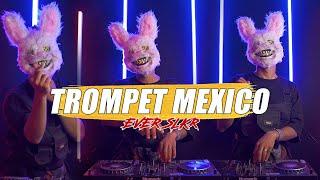 TROMPET MEXICO - EVER SLKR DISKOTANAH