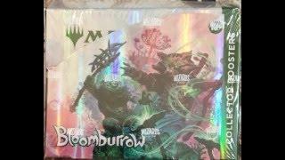 Bloomburrow Collector PACK WARS#2 LilianaRAISEDFOILLiliBrdlssJaceBrdls hitMagicalBoxWars