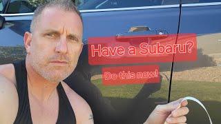 2024 Subaru must have protection...do it yourself  How to protect your Suby