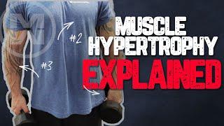 Muscle Hypertrophy Explained How to get MASSIVE Gains