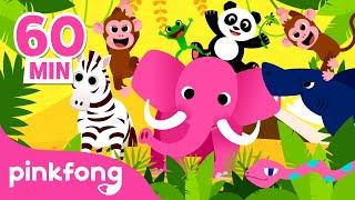 Belajar Ciri-ciri dan Klassifikasi Binatang  Gajah & Hewan lain-lain  Pinkfong Baby Shark