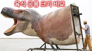 완전히 바뀐 육식 공룡 크기 순위