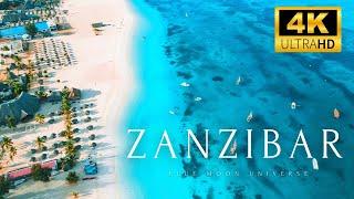 Coastal landscape of Zanzibar Island  Tanzania