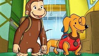 Curious George Camping with Hundley Full Episode  HD  Videos For Kids