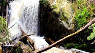 Toorongo Noojee Falls.  Видео для релаксации.