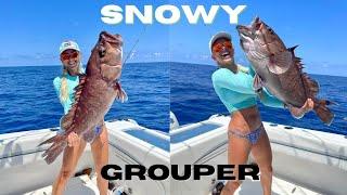 SNOWY GROUPER Caught Deep Dropping Offshore Florida Keys  Fishing  Electric Reel