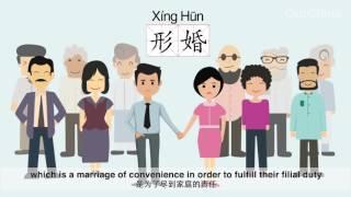 Introduction to Chinas LGBT in 4 minutes