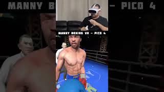 Boxing VR Gameplay on the PICO 4 - This is MAD Fun