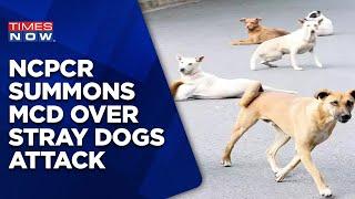 NCPCR Summons MCD After Stray Dogs Killed Siblings In Delhi Canine Terror On Rise