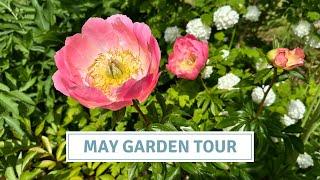 May Garden Tour Flowering Perennials + Shrubs English Country Garden  Cottoverdi