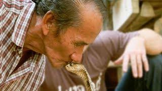 Thailands Famous Snake Village  Earth Unplugged