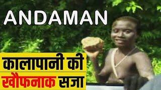 ANDAMAN & Nicobar Island  Meet Tribal Jarawa  Havelock  Rangat  Mayabunder  Diglipur Portblair