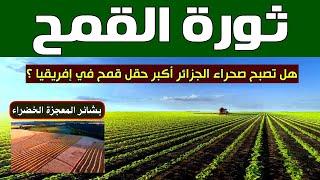 الجزائر ...ثورة في مجال الزراعة الصحراوية#قناة_الظهرة_الفلاحية