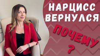 Почему нарцисс к вам возвращается?